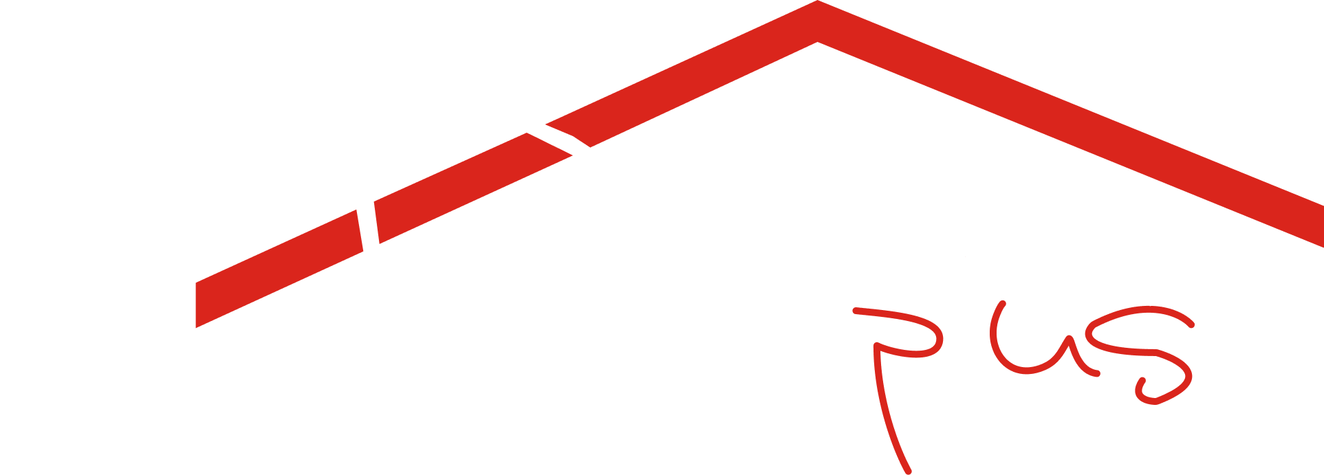 Dauni plus logo